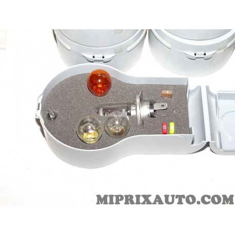 Boite ampoule de secours Renault Dacia original OEM 7711421541 