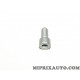 Vis carter huile embrayage Fiat Alfa Romeo Lancia original OEM 16690424