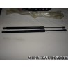 Paire verins hayon de coffre force 905N Volkswagen Audi Skoda Seat original OEM 5TA827550E