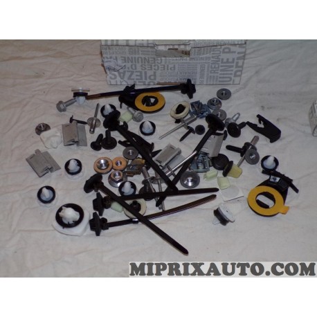 Pack agrafes attache fixation porte Renault Dacia original OEM 800990953R 