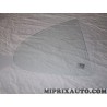 Vitre lucarne de porte Renault Dacia original OEM 7700828315