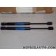 Paire verins ouverture capot moteur Jeep Dodge Chrysler original OEM VHWJ9904AA pour jeep grand cherokee de 2003 à 2004