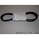 Courroie accessoire 6PK1795 Opel Chevrolet original OEM 93196393