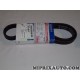 Courroie accessoire 5PK1008 Opel Chevrolet original OEM 96144934