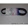 Courroie accessoire 5PK1008 Opel Chevrolet original OEM 96144934