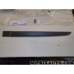 Baguette moulure de porte Renault Dacia original OEM 8200574622 