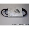 Courroie accessoire 5PK1125 Renault Dacia original OEM 8200786314