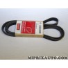 Courroie accessoire 5PK1850 Motrio Renault Dacia original OEM 8660004013