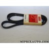 Courroie accessoire 7PK1975 Motrio Renault Dacia original OEM 8660002052