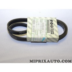 Courroie accessoire 4PK903 Fiat Alfa Romeo Lancia original OEM 504066407 
