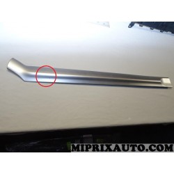 Baguette moulure de porte argent (grosse rayure) Opel Chevrolet original OEM 13155133 5172405 