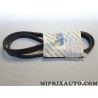Courroie accessoire alternateur 6PK1345 Fiat Alfa Romeo Lancia original OEM 55204366