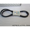 Courroie accessoire 6PK1710 Fiat Alfa Romeo Lancia original OEM 9654114480