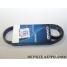 Courroie accessoire 6PK905 Dayco Opel Chevrolet original OEM 6PK905S