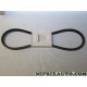 Courroie alternateur Mitsubishi original OEM MD017469