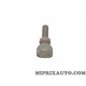 Vis fixation pieces internes Alfa Romeo Lancia original OEM 7645413