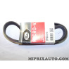 Courroie accessoire Gates Citroen Peugeot original OEM 7PK1078