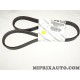Courroie accessoire Alfa Romeo Lancia original OEM 55188139 5PK1072