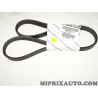 Courroie accessoire Alfa Romeo Lancia original OEM 55188139 5PK1072