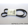 1 Courroie accessoire 6PK1182 Fiat Alfa Romeo Lancia original OEM 55185077