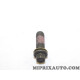Vis fixation pompe à huile Mopar Jeep Dodge Chrysler original OEM 06506408AA