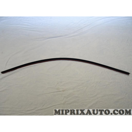 Joint de porte Renault Dacia original OEM 769231074R 