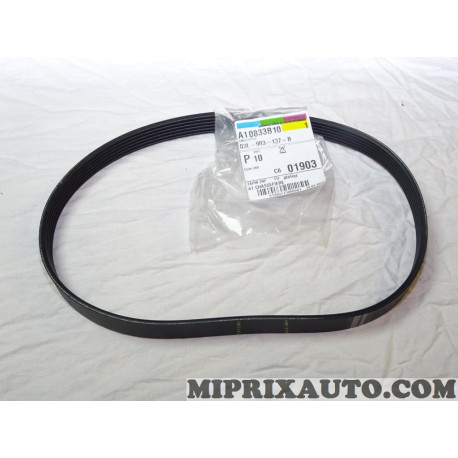 Courroie accessoire 6PK842 Volkswagen Audi Seat Skoda original OEM 03L903137B 