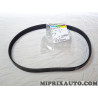 Courroie accessoire 6PK842 Volkswagen Audi Seat Skoda original OEM 03L903137B