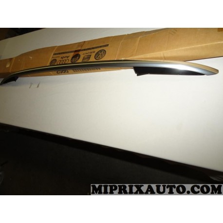 Barre de toit longitudinale main courante de pavillon gauche noir rally chrome Volkswagen Audi Skoda Seat original OEM 5N0860043