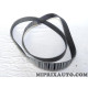 Courroie accessoire 9PK1921 Mercedes original OEM 0019937196