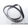 Courroie accessoire 9PK1921 Mercedes original OEM 0019937196