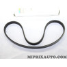 Courroie accessoire 4PK841 Volkswagen Audi Skoda Seat original OEM 038260849A