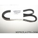 Courroie accessoire 5PK1103 Fiat Alfa Romeo Lancia original OEM 71753866