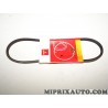 Courroie accessoire 3PK675 Motrio Renault Dacia original OEM 8671001782