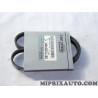 Courroie accessoire 4PK855 Hyundai Kia original OEM S977132D100