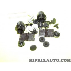 Pack agrafes attache fixation carrosserie Renault Dacia original OEM 651009384R