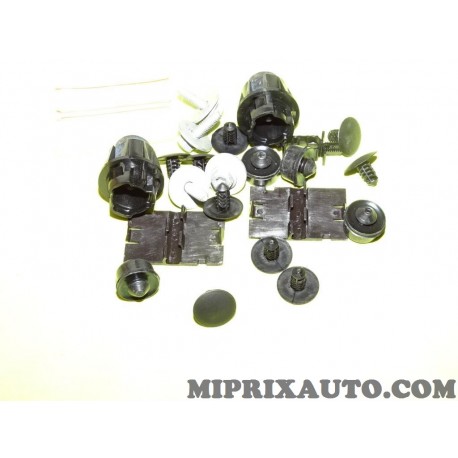 Pack agrafes attache fixation carrosserie Renault Dacia original OEM 651009384R