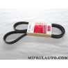 Courroie accessoire 6PK1360 Motrio Fiat Lancia Alfa Romeo original OEM 8660002826