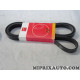 Courroie accessoire 6PK1893 Motrio Ford original OEM 8671019756 pour ford focus