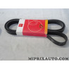 Courroie accessoire 6PK1893 Motrio Ford original OEM 8671019756 pour ford focus