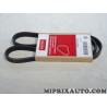Courroie accessoire 4PK985 Motrio Fiat Lancia Alfa Romeo original OEM 8660002789 pour fiat ducato