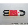 Courroie accessoire 5PK1253 Motrio Citroen Peugeot original OEM 8660002728 pour citroen berlingo xsara ZX peugeot 306 partner