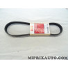 Courroie accessoire 6PK841 Motrio Renault Dacia original OEM 8660001513 pour renault master 2 II