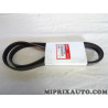 Courroie accessoire 6PK1710 Honda original OEM 31110-RPY-G02 31110RPYG02