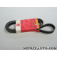 Courroie accessoire 6PK1699 Motrio Citroen Peugeot original OEM 8660002736 