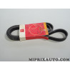 Courroie accessoire 6PK1699 Motrio Citroen Peugeot original OEM 8660002736