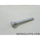 Vis tirant arret de porte Renault Dacia original OEM 7700781413 