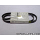Courroie accessoire 4PK1238 Renault Dacia original OEM 7700869686
