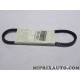 Courroie alternateur 10x660 Renault Dacia original OEM 7701068437 
