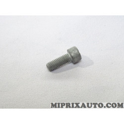 Vis fixation element leve vitre revetement interieur Renault Dacia original OEM 7703009253 